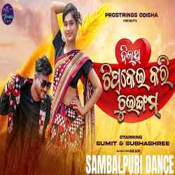 Dilthi Chipkeikari Chewing Gum